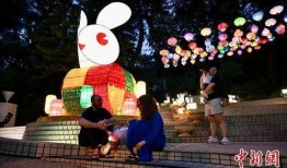 网友爆料兔子花灯视频,传统民俗魅力再现